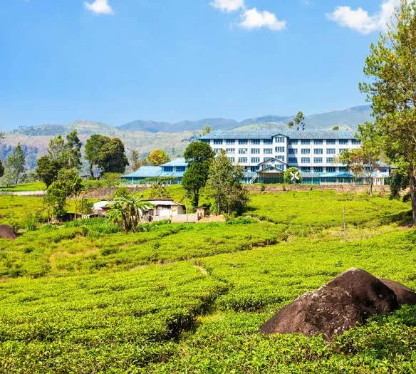 Handunugoda tea factory and tea estate landscape