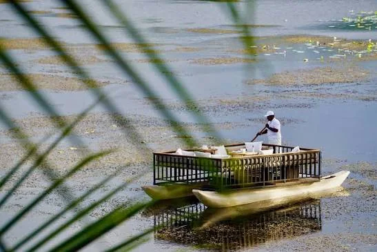 Floating lounge boat in the wetlands at Mawella