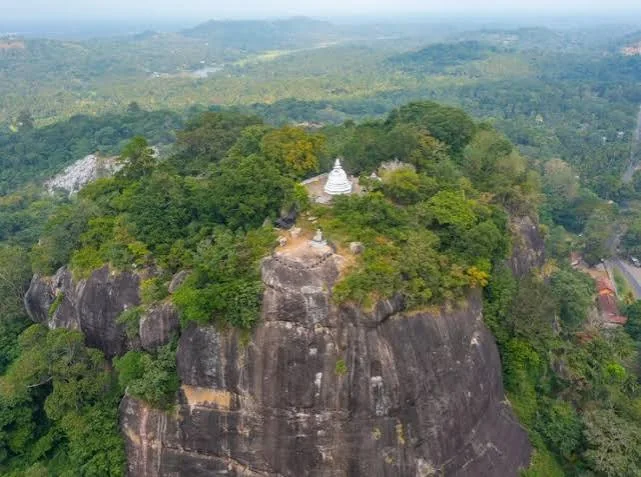 Aerial view of Mulkirigala rock temple and surrounding forest