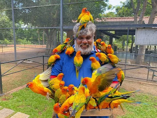 Colorful birds at the Ridiyagama Bird Park
