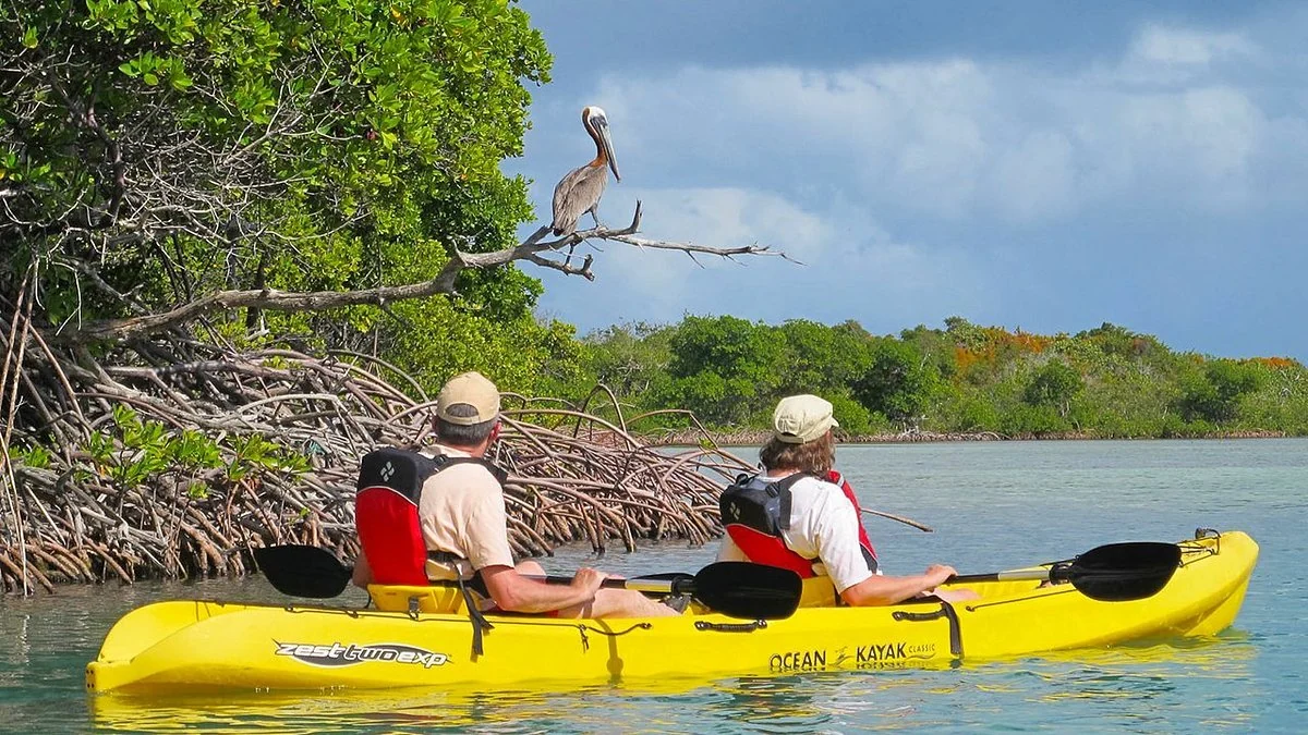 Visitors enjoying bird watching and kayaking in Mawella lagoon