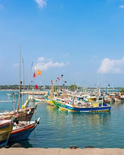 Tangalle fishing harbour with colorful boats